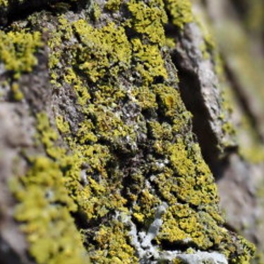 5 Joyful Encounters I am Celebrating This&nbsp;Spring